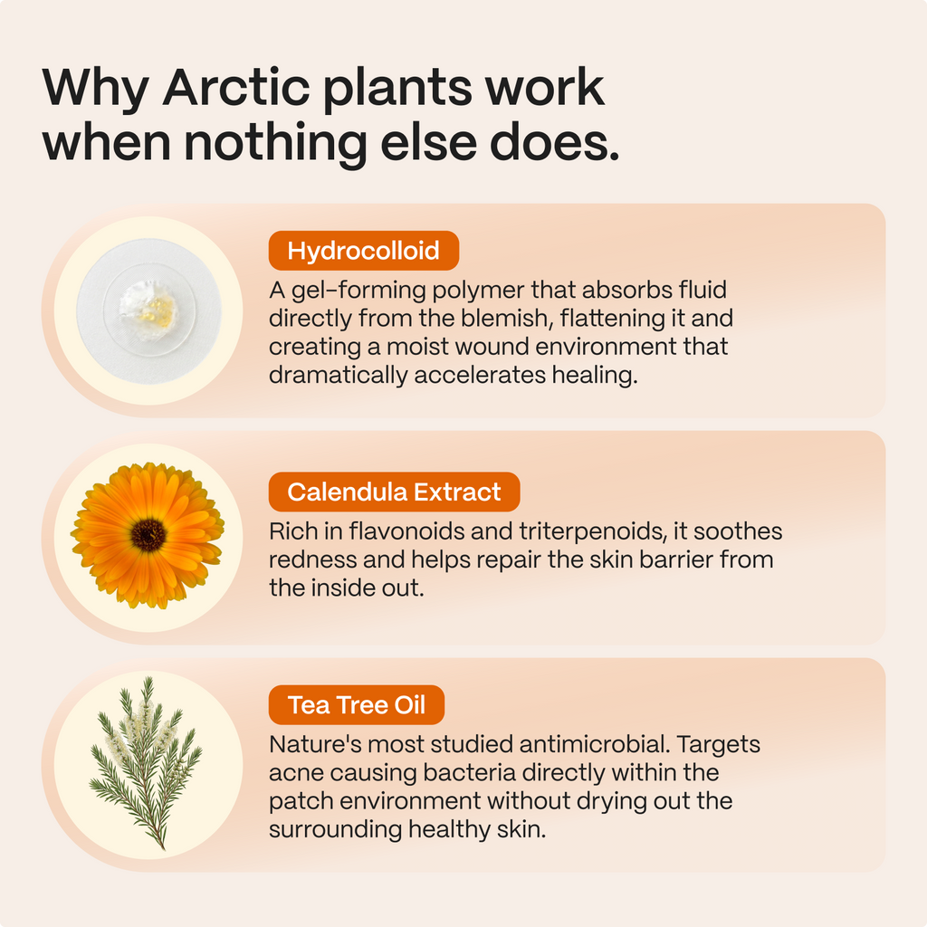 Acne Patches with Arctic Herbs