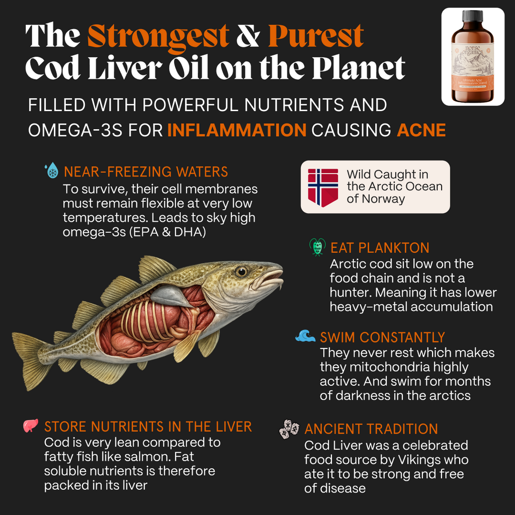 Complete Gut Repair & Hormonal Balance System for Female Acne