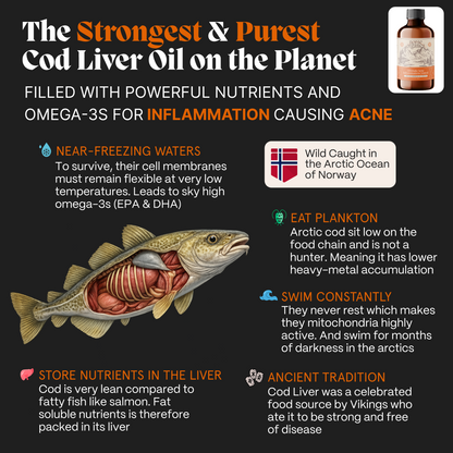 Complete Gut Repair & Hormonal Balance System for Female Acne